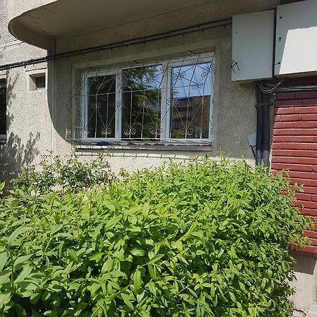 Apartamente Marian Brașov Zimmer foto
